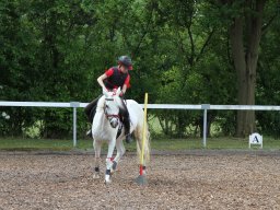 img_4468_web